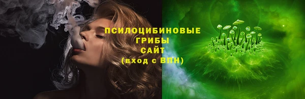 ПСИЛОЦИБИНОВЫЕ ГРИБЫ Абдулино