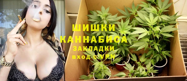 ПСИЛОЦИБИНОВЫЕ ГРИБЫ Абдулино