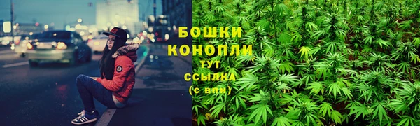 ПСИЛОЦИБИНОВЫЕ ГРИБЫ Абдулино