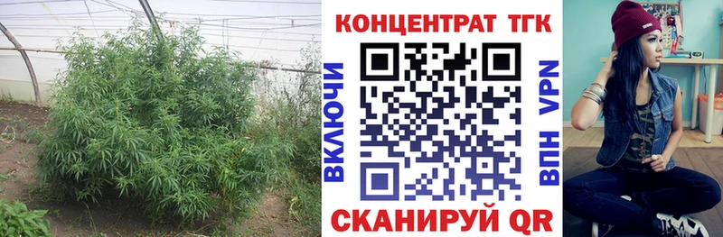 ТГК Wax  мега зеркало  даркнет как зайти  Староминская 